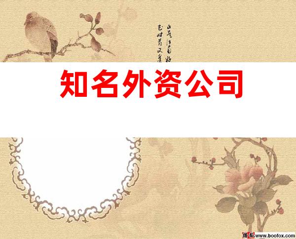 知名外资公司